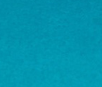 b21