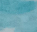 C07